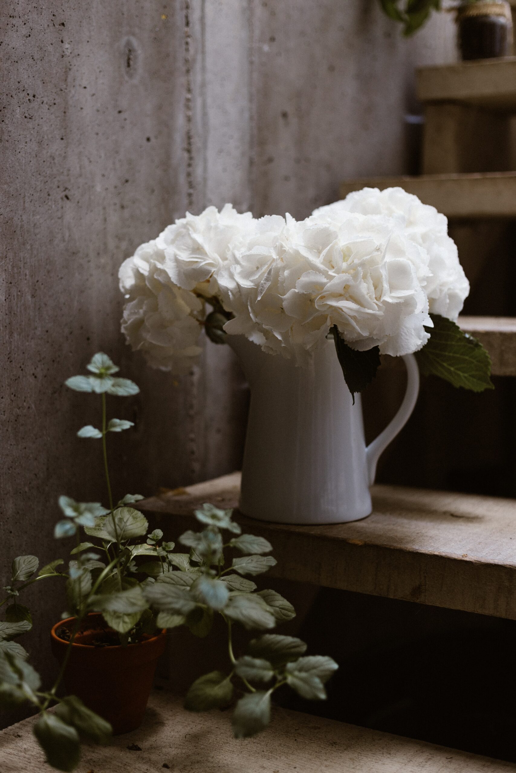 priscilla-du-preez-R4swLOb9tlg-unsplash-4