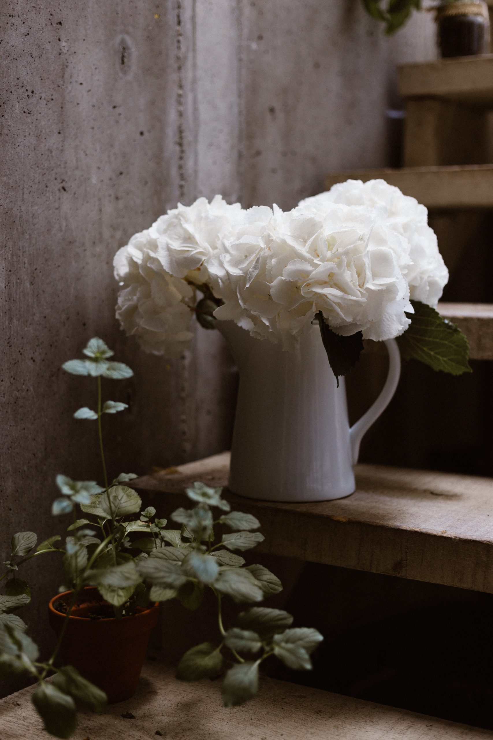 priscilla-du-preez-R4swLOb9tlg-unsplash